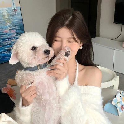 白粉飞 第一季